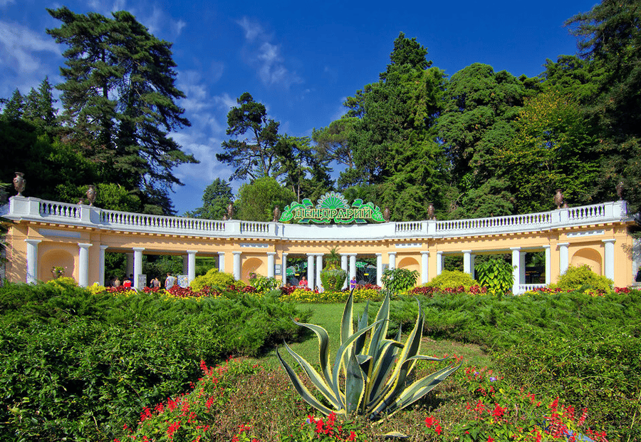 Arboretum-sochi-حديقة-سوتشي-النباتية.png
