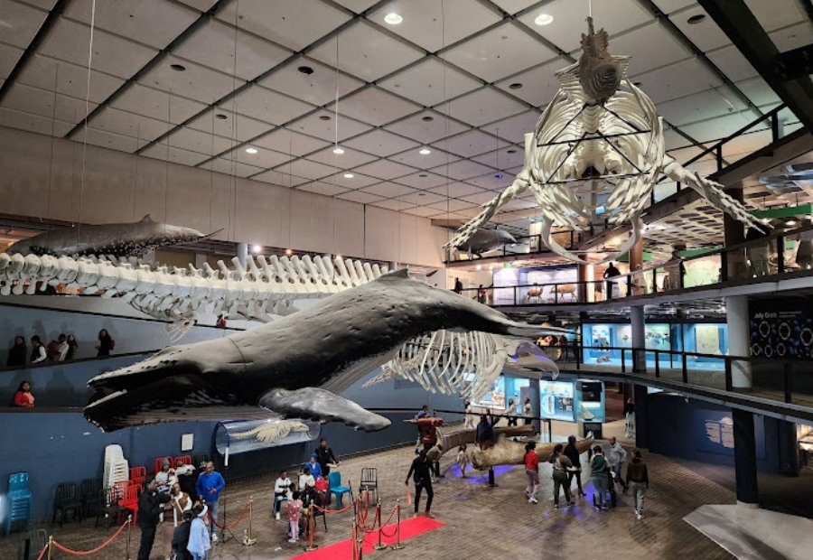 The-Planetarium cape town
